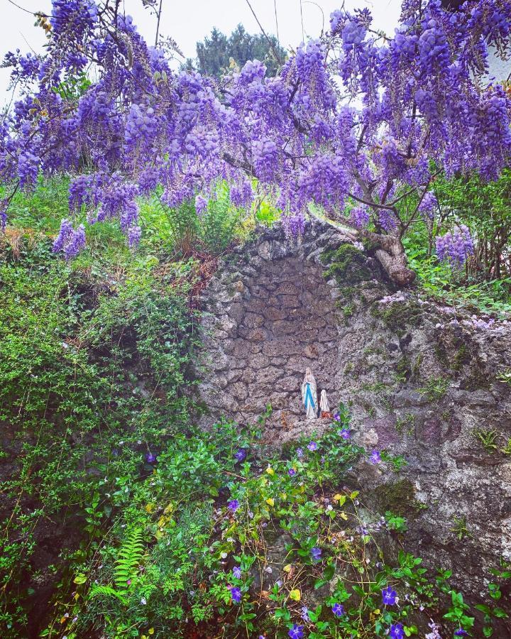La Mansarda Di Casa Vacanze La Vite Bordogna المظهر الخارجي الصورة