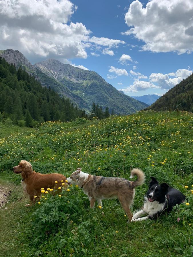 La Mansarda Di Casa Vacanze La Vite Bordogna المظهر الخارجي الصورة