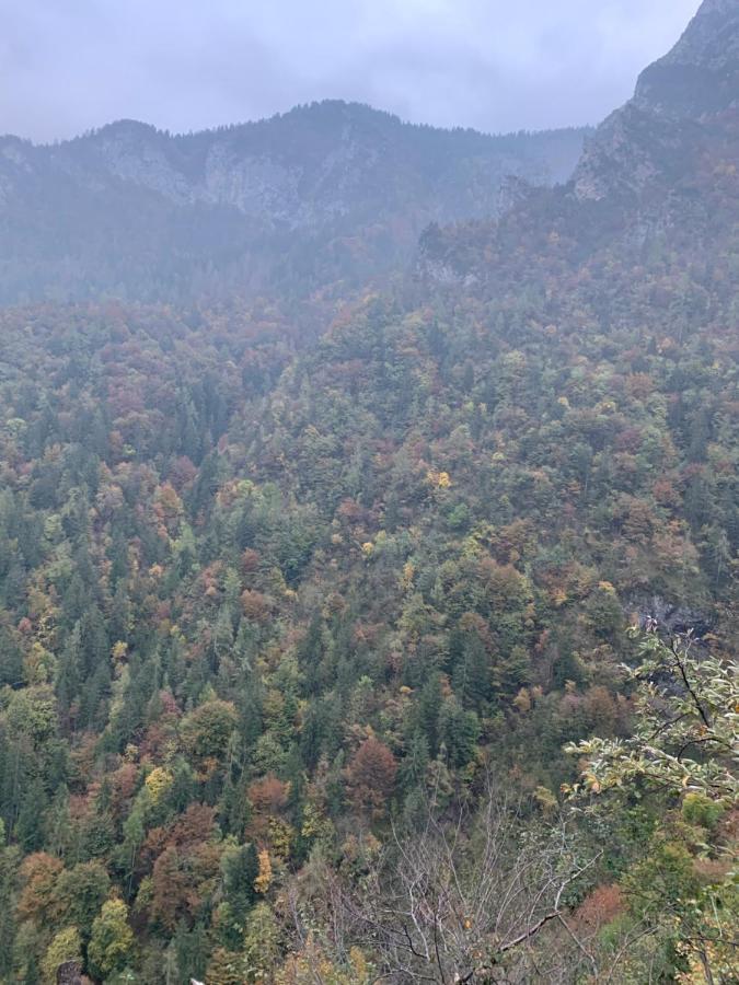 La Mansarda Di Casa Vacanze La Vite Bordogna المظهر الخارجي الصورة
