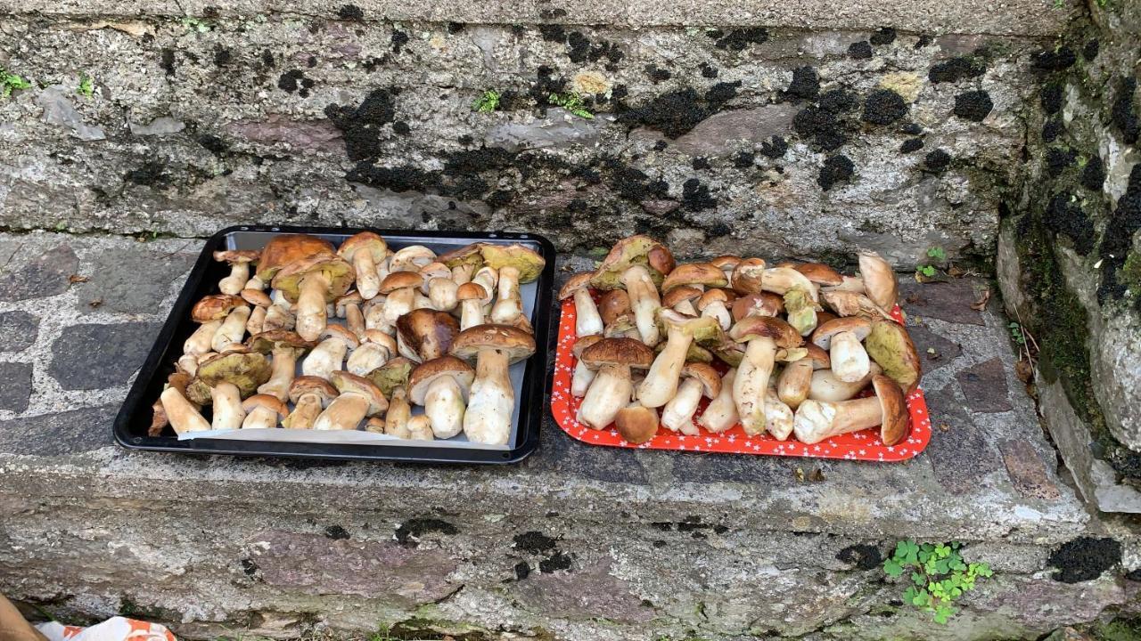 La Mansarda Di Casa Vacanze La Vite Bordogna المظهر الخارجي الصورة